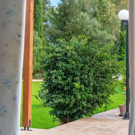 Dafni Apartament